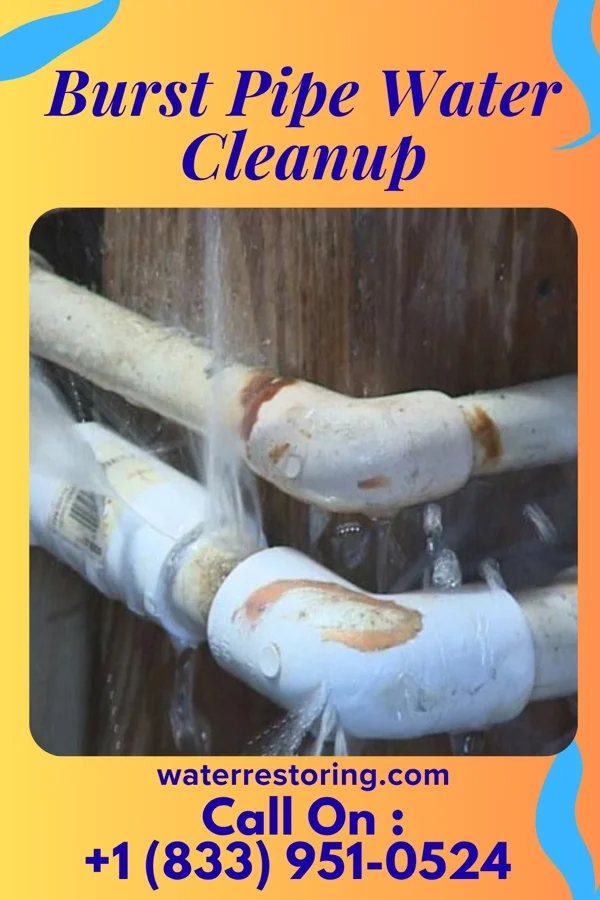 Burst Pipe Water Cleanup in Cove Forge, PA