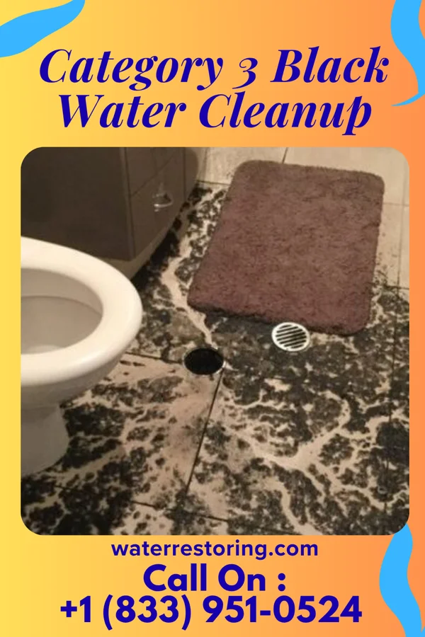 Category 3 Black Water Cleanup in Cove Forge, PA