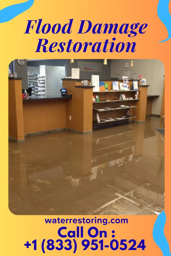 Flood Damage Restoration in Cove Forge, PA