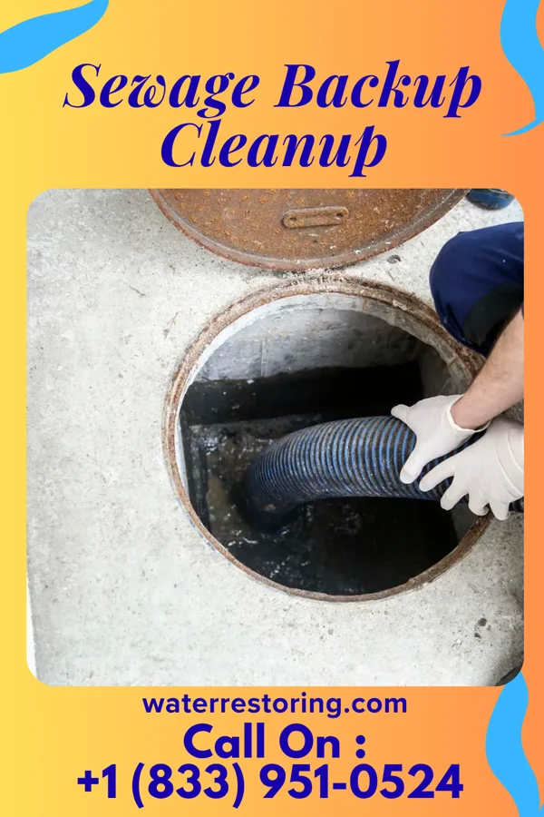 Sewage Backup Cleanup in Cove Forge, PA